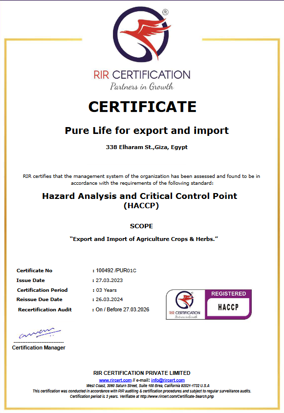 Certificate 2